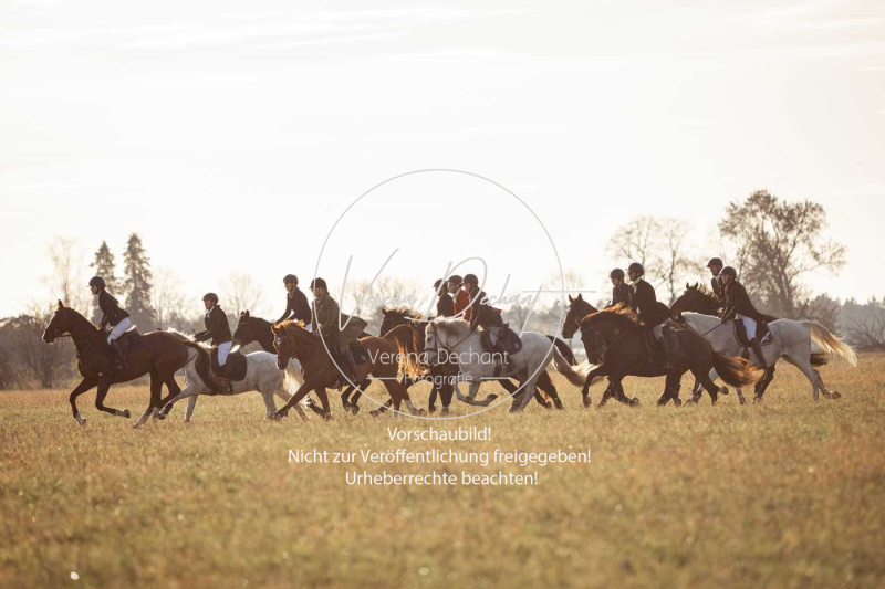 Schleppjagd_Schleissheim-935