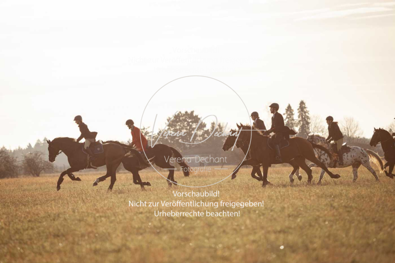 Schleppjagd_Schleissheim-947