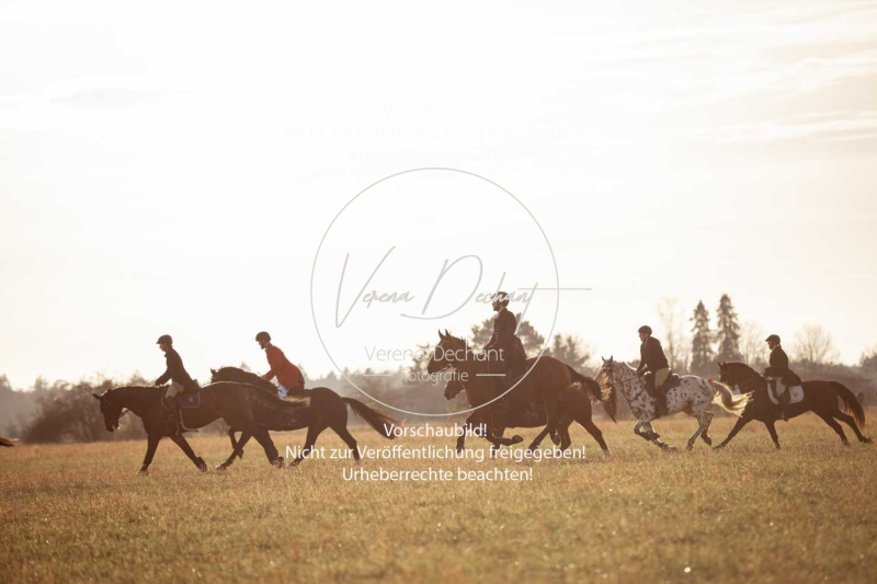 Schleppjagd_Schleissheim-948