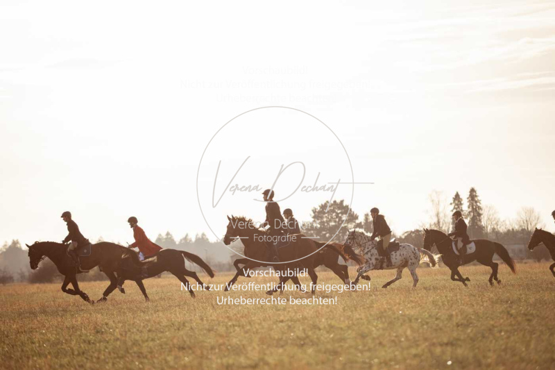 Schleppjagd_Schleissheim-949