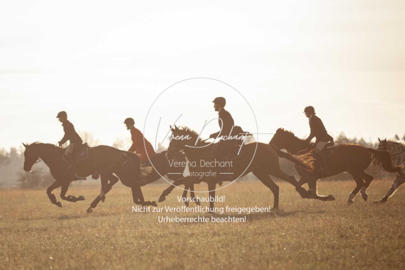 Schleppjagd_Schleissheim-951