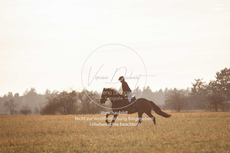 Schleppjagd_Schleissheim-956