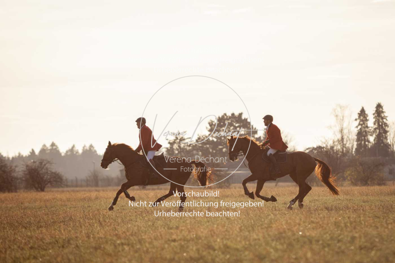 Schleppjagd_Schleissheim-959