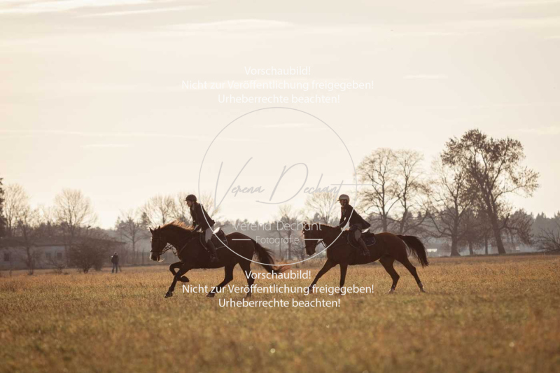 Schleppjagd_Schleissheim-960