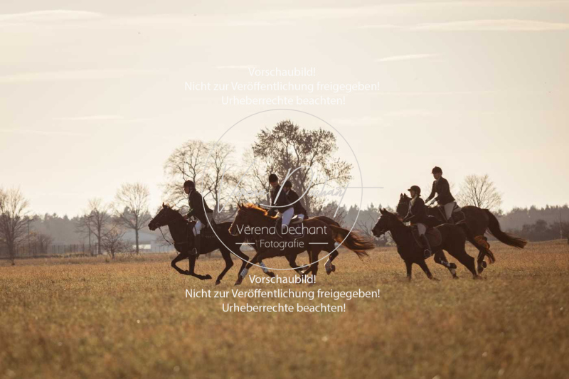 Schleppjagd_Schleissheim-965