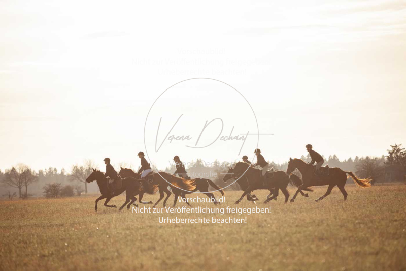 Schleppjagd_Schleissheim-966