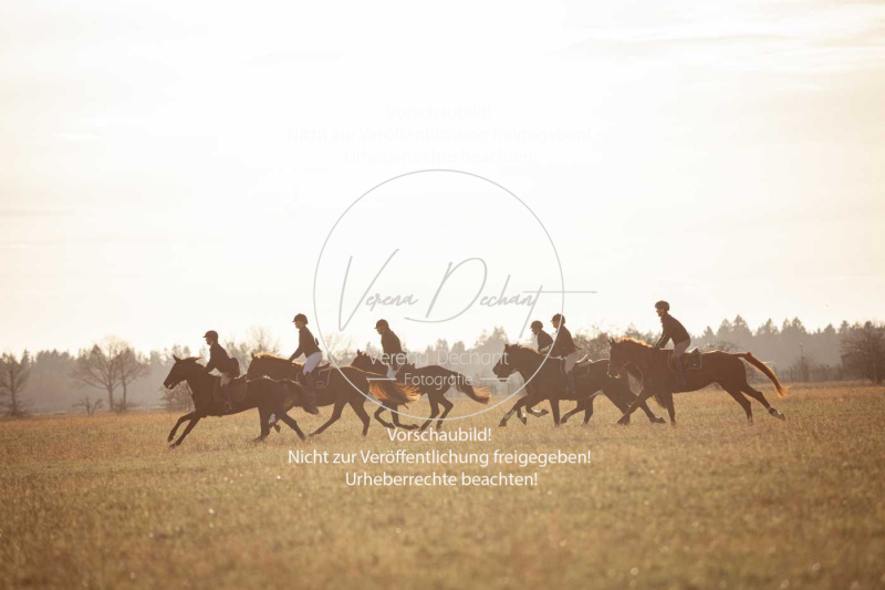 Schleppjagd_Schleissheim-967