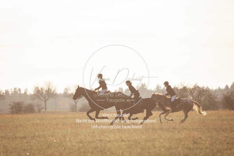 Schleppjagd_Schleissheim-971