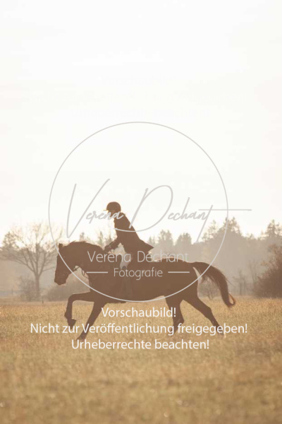 Schleppjagd_Schleissheim-973