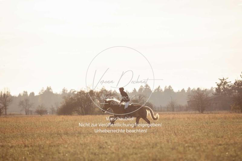 Schleppjagd_Schleissheim-979