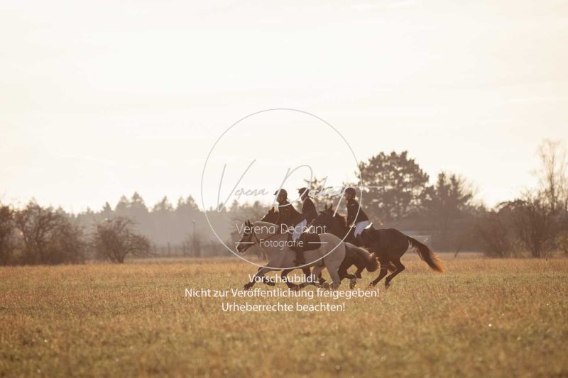 Schleppjagd_Schleissheim-982