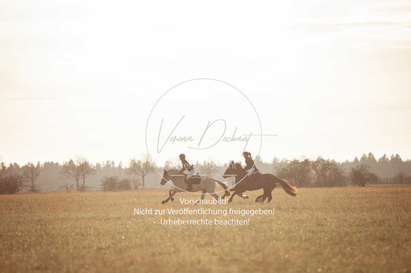 Schleppjagd_Schleissheim-987