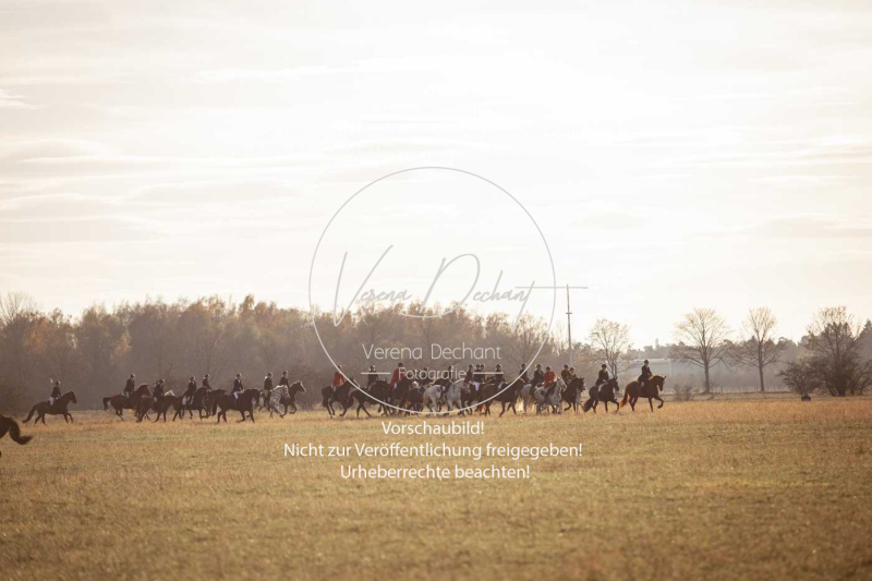 Schleppjagd_Schleissheim-989