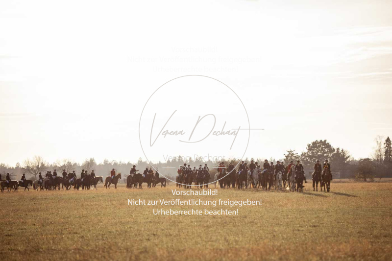 Schleppjagd_Schleissheim-994