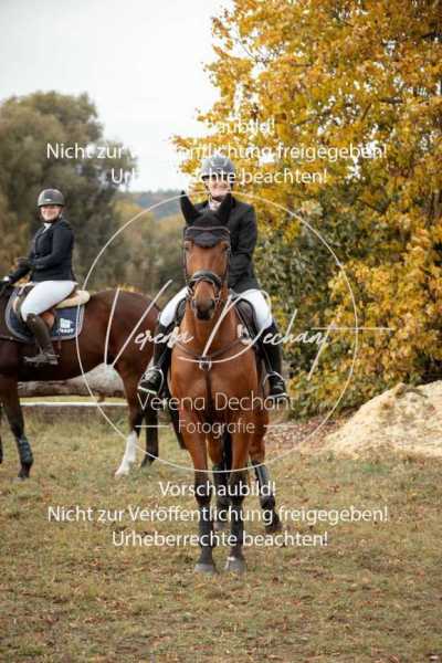 Schleppjagd Schwandorf-138