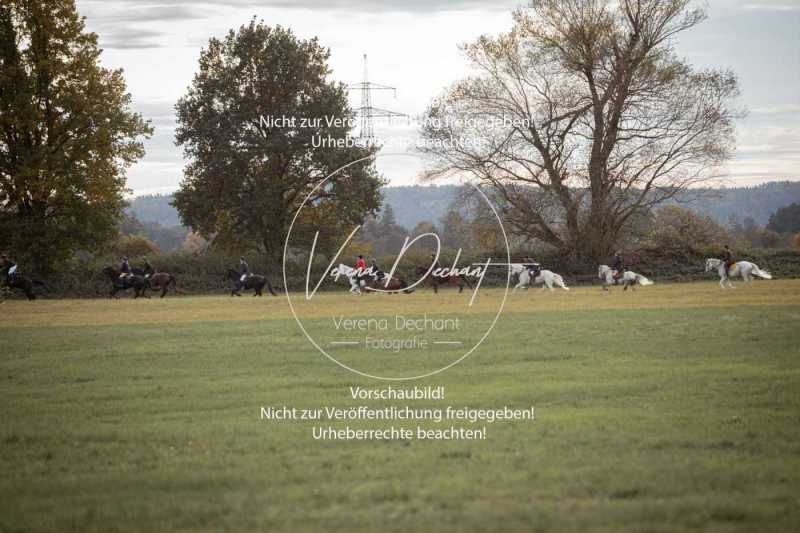 Schleppjagd Schwandorf-585