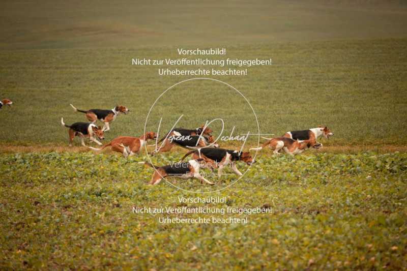 Schleppjagd_Truchtlaching_2021-30