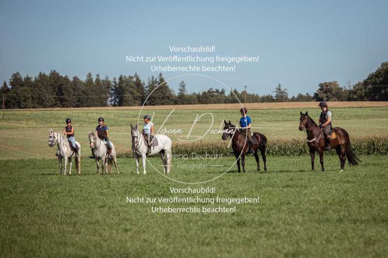 Schleppjagdtraining_2023-003