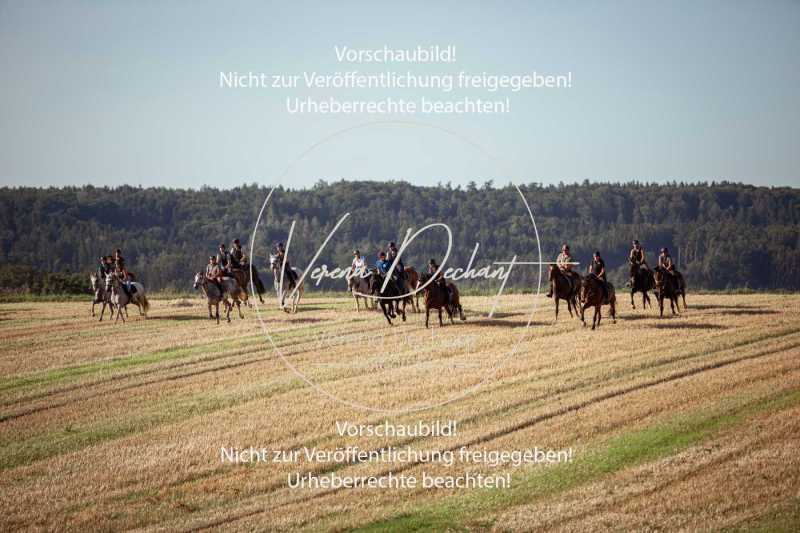 Schleppjagdtraining_2023-015-2