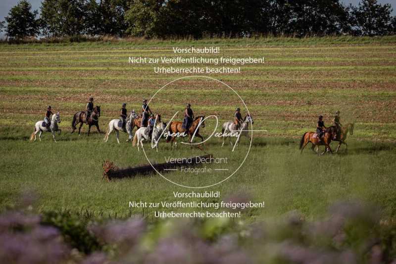 Schleppjagdtraining_2023-018