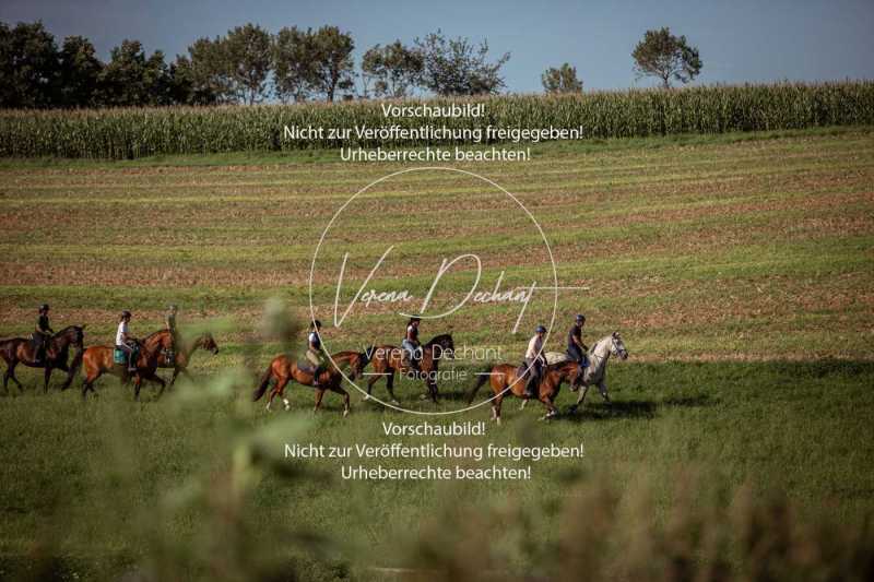 Schleppjagdtraining_2023-024
