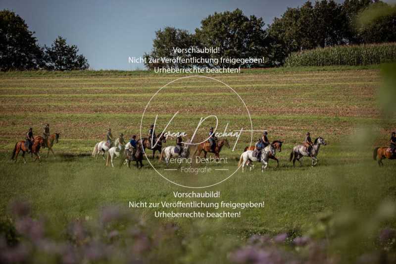 Schleppjagdtraining_2023-027
