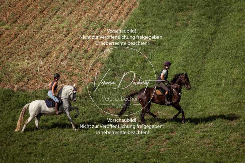 Schleppjagdtraining_2023-035