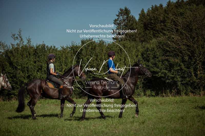 Schleppjagdtraining_2023-048
