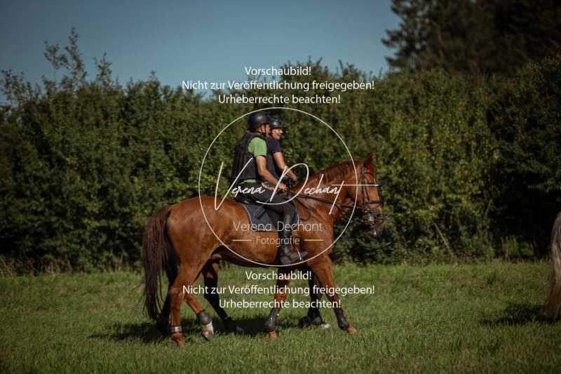Schleppjagdtraining_2023-049