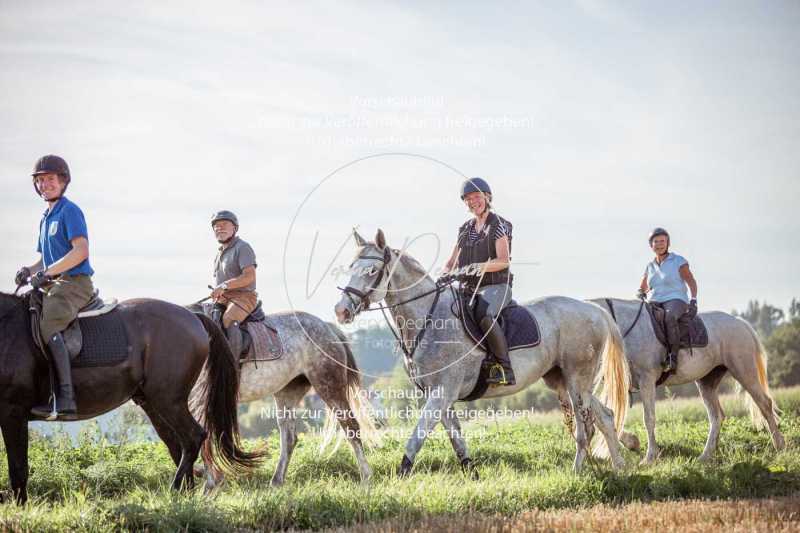 Schleppjagdtraining_2023-072-2