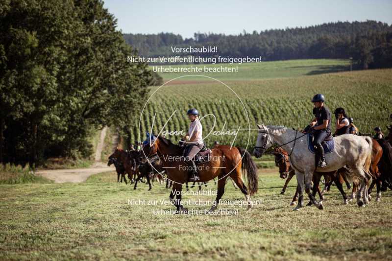 Schleppjagdtraining_2023-085