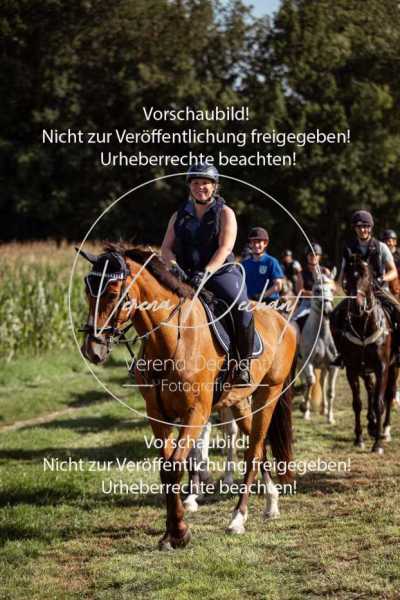 Schleppjagdtraining_2023-092