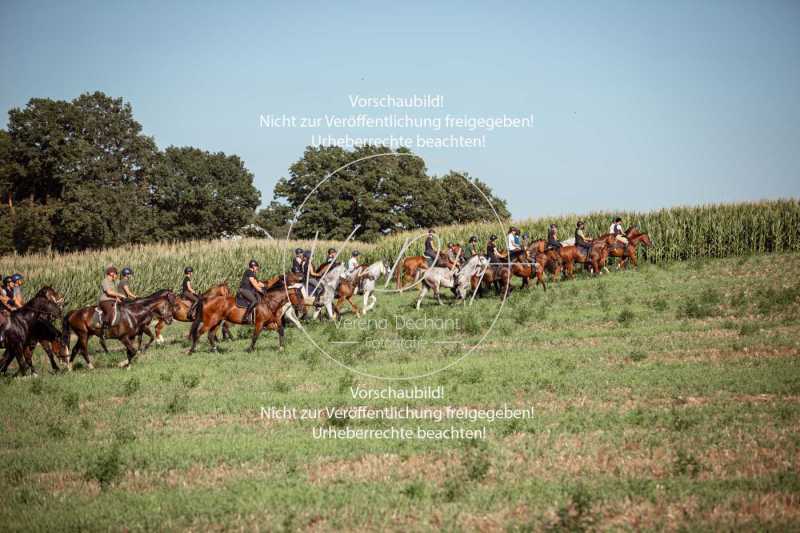 Schleppjagdtraining_2023-179