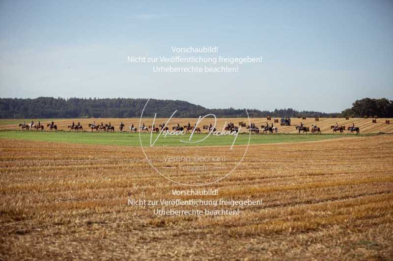 Schleppjagdtraining_2023-237