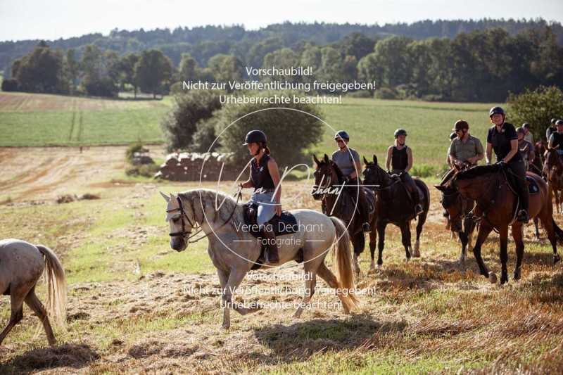 Schleppjagdtraining_2023-259