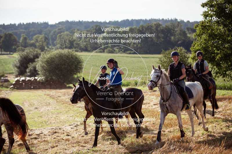 Schleppjagdtraining_2023-271