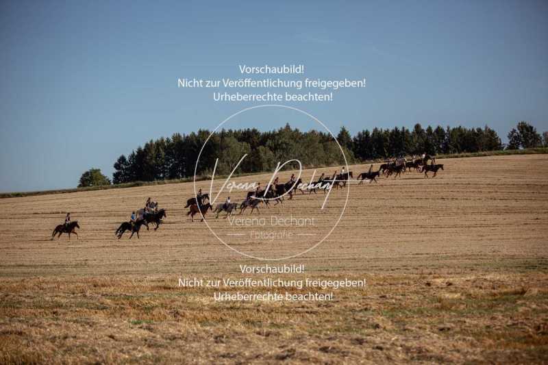 Schleppjagdtraining_2023-281