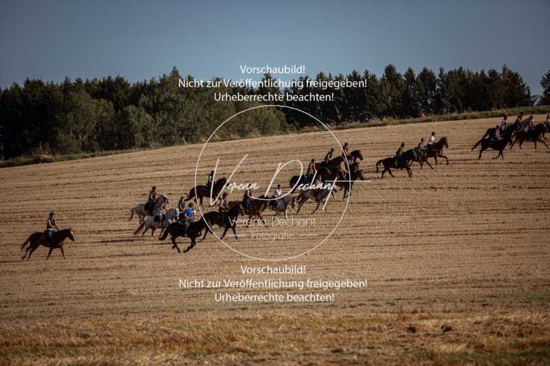 Schleppjagdtraining_2023-284