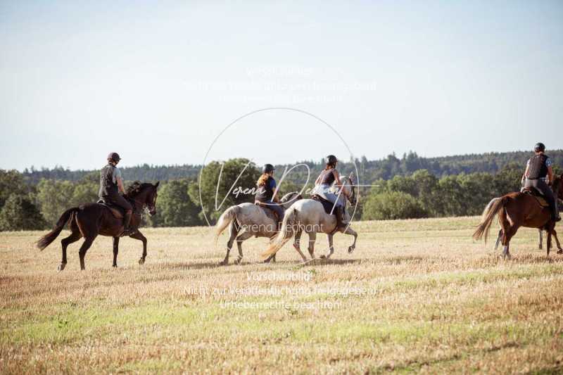 Schleppjagdtraining_2023-338