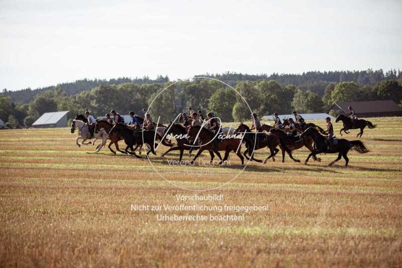Schleppjagdtraining_2023-386