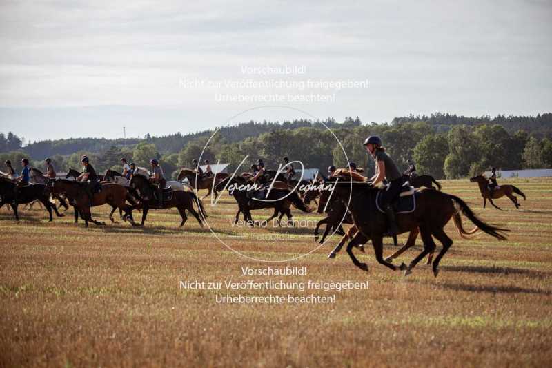 Schleppjagdtraining_2023-391