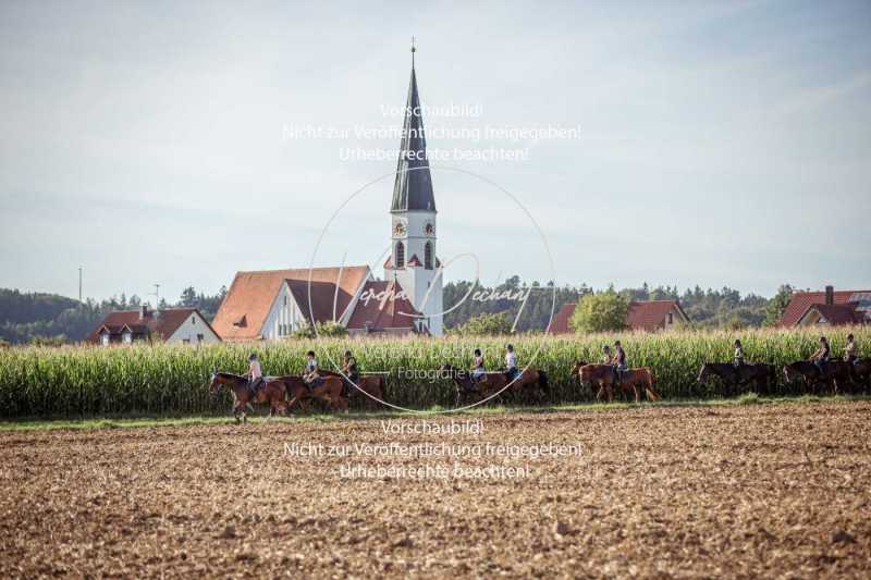 Schleppjagdtraining_2023-411