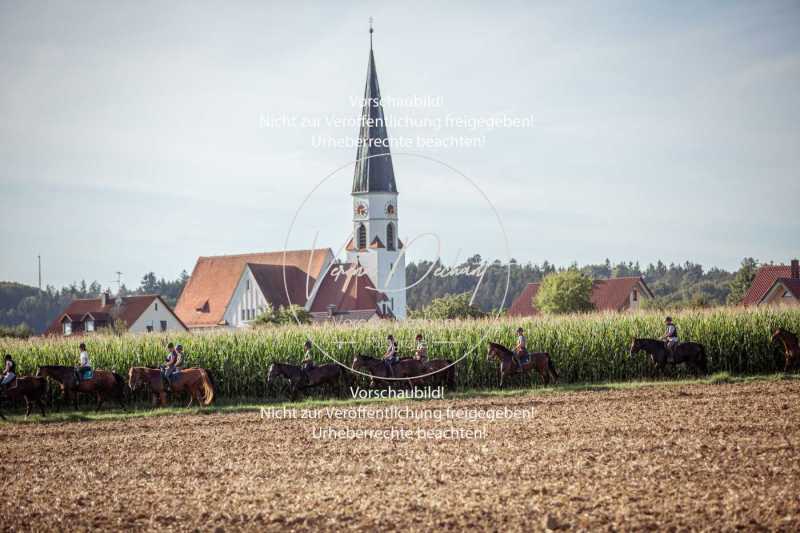 Schleppjagdtraining_2023-415