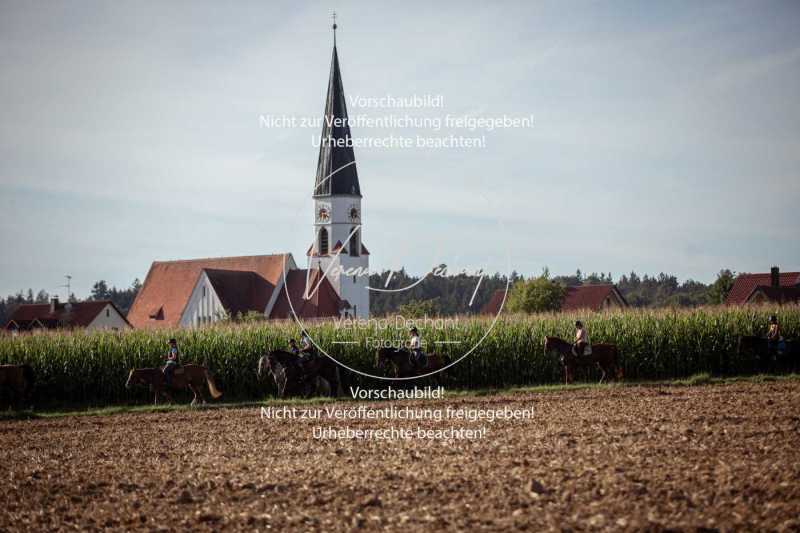 Schleppjagdtraining_2023-424