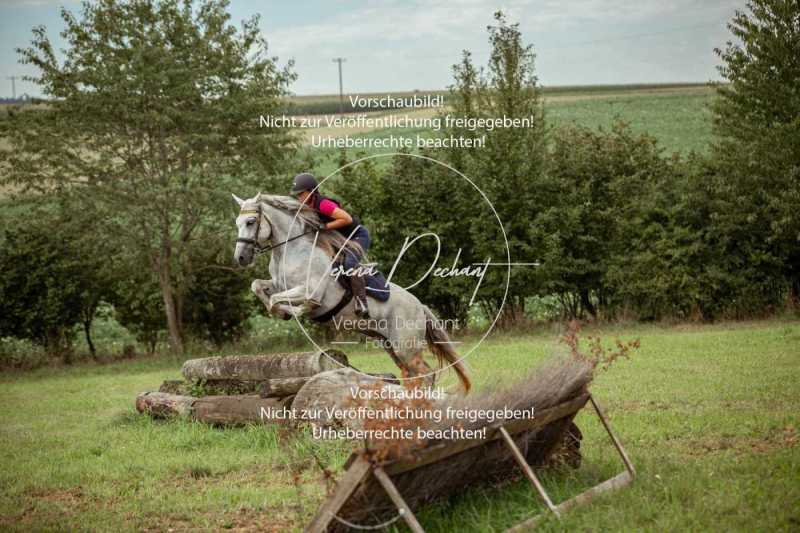 Schleppjagdtraining_2023-226