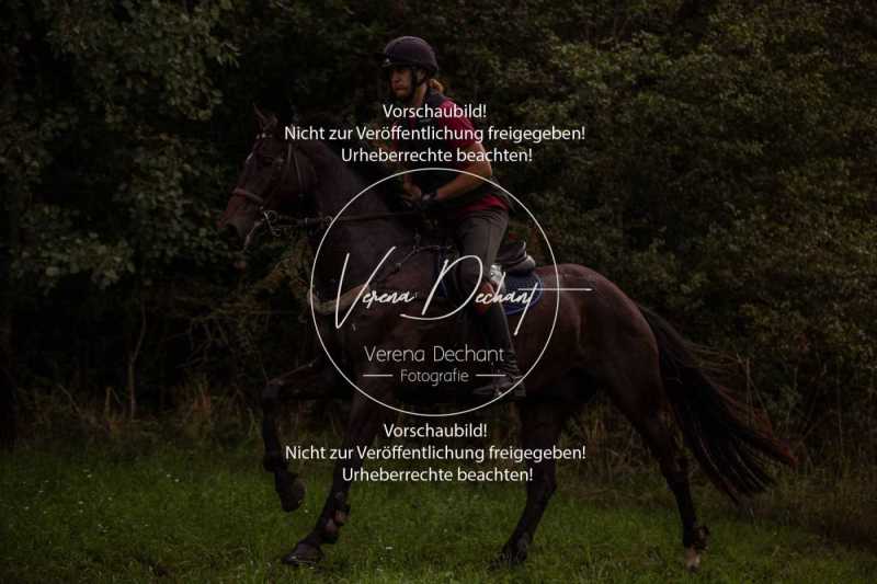 Schleppjagdtraining_2023-522