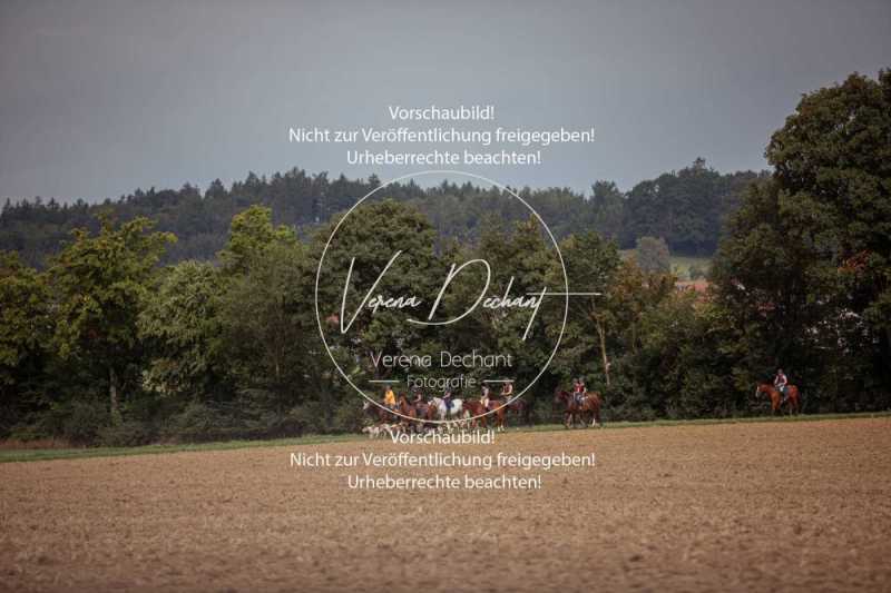 Schleppjagdtraining_2023-001-3