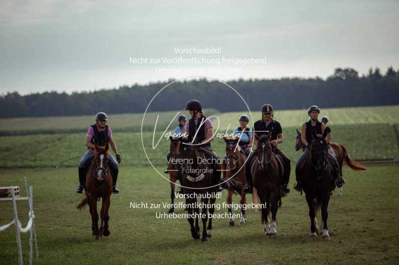 Schleppjagdtraining_2023-010