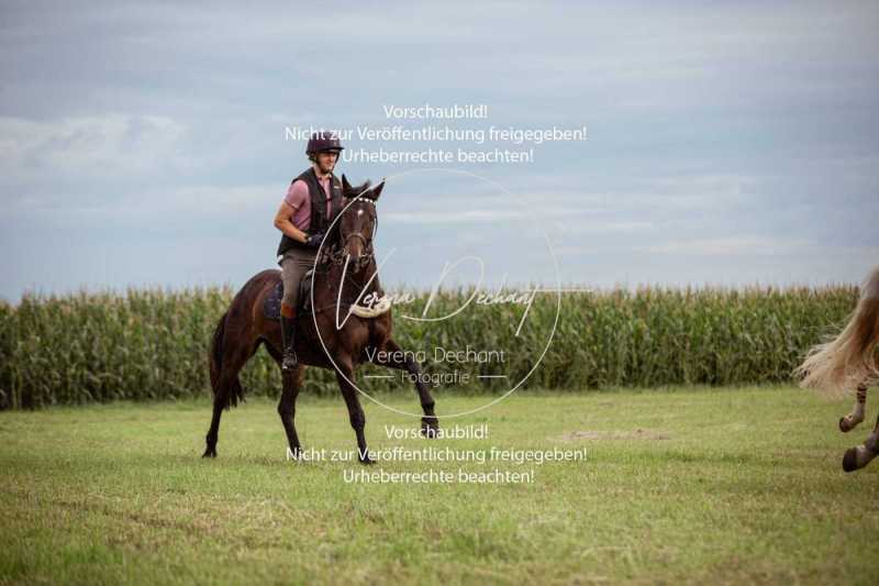 Schleppjagdtraining_2023-025-2
