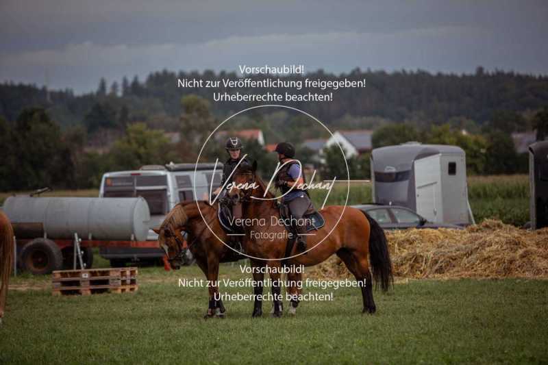 Schleppjagdtraining_2023-032-3